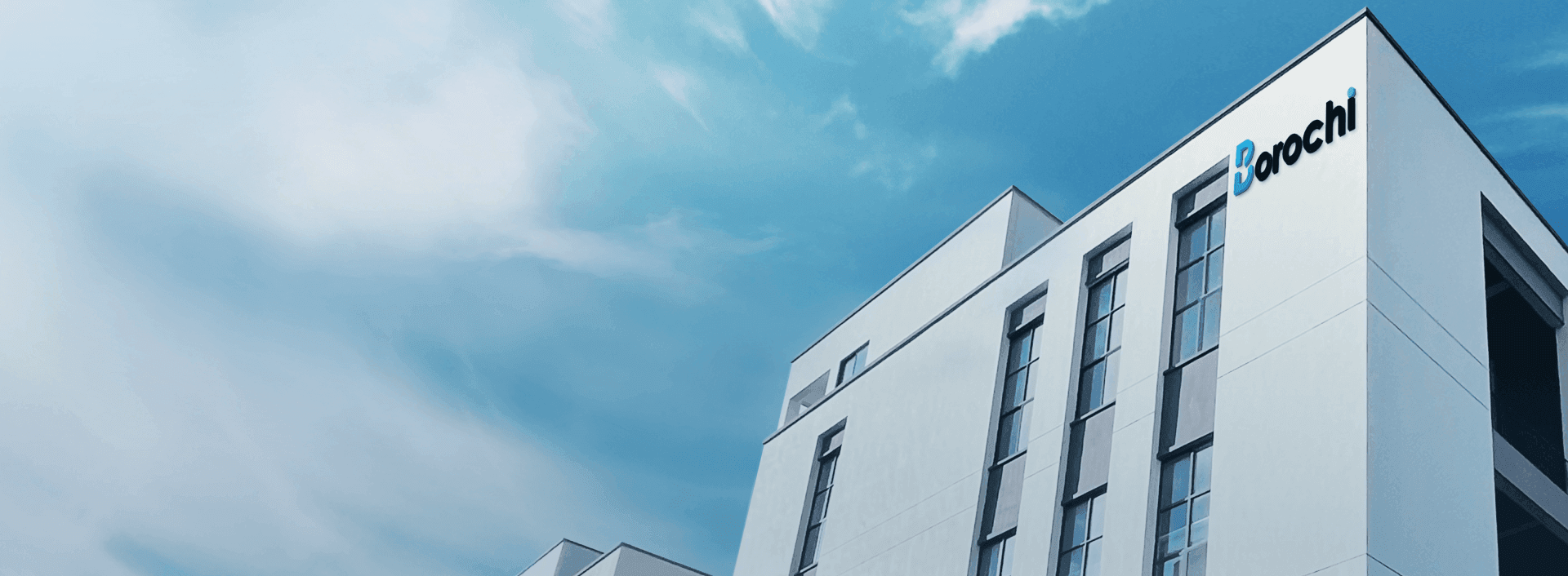 Borochi office building